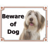 Portal Sign, 2 Sizes Beware of Dog, Fawn and White Bearded Collie head, Gate placard, door plate panel, Beardie Highland Collie,