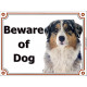 Portal Sign, 2 Sizes Beware of Dog, Blue Merle Australian Shepherd head, Gate placard, door plate panel Aussie