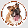 Circle sticker "Dog on board" 15 cm, fawn & white English Bulldog Head, decal adhesive car label British red