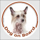Circle sticker "Dog on board" 15 cm, Chinese crested dog Head, decal adhesive car label Puff