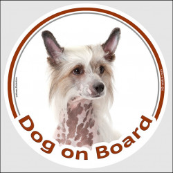 Circle sticker "Dog on board" 15 cm, Chinese crested dog Head, decal adhesive car label Puff