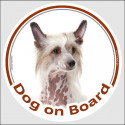 Circle sticker "Dog on board" 15 cm, Chinese crested dog Head