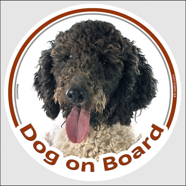 Circle sticker "Dog on board" 15 cm, black & white Spanish Water Dog Head, decal adhesive car label