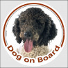 Circle sticker "Dog on board" 15 cm, black & white Spanish Water Dog Head, decal adhesive car label