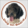 Circle sticker "Dog on board" 15 cm, black & white Spanish Water Dog Head
