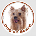 Circle sticker "Dog on board" 15 cm, Yorkshire Terrier Head