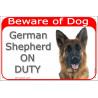 Red Portal Sign "Beware of Dog, German Shepherd medium hair on duty" gate plate door placard photo