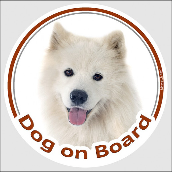 Circle sticker "Dog on board" 15 cm, Samoyed Head, decal adhesive car label Bjelkier, Samoiedskaya Sobaka, Nenetskaya Laika