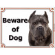 Blue Cane Corso,, portal Sign "Beware of Dog" gate plate Grey Italian Mastiff , Door placard panel photo notice