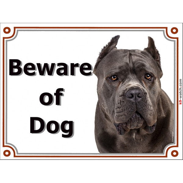 Blue Cane Corso,, portal Sign "Beware of Dog" gate plate Grey Italian Mastiff , Door placard panel photo notice