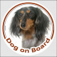 Circle sticker "Dog on board" 15 cm, Tri merle long-haired Dachshund Head, decal adhesive car label Doxie blue