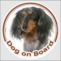 Tri merle long-haired Dachshund, circle sticker "Dog on board" 15 cm