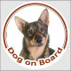 Circle sticker "Dog on board" 15 cm, Swedish Vallhund Head, decal adhesive car label Cattle Shepherd