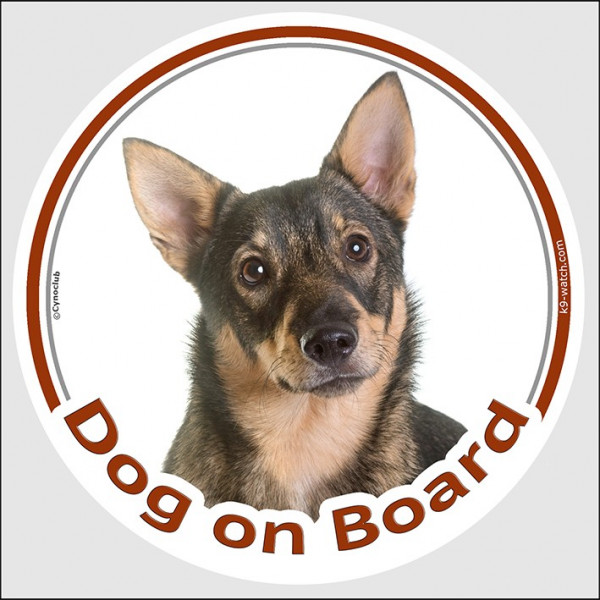 Circle sticker "Dog on board" 15 cm, Swedish Vallhund Head, decal adhesive car label Cattle Shepherd