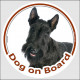 Circle sticker "Dog on board" 15 cm, Black Scottish Terrier Head, decal adhesive car label scottie