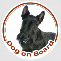 Circle sticker "Dog on board" 15 cm, Black Scottish Terrier Head