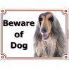 Portal Sign, 2 Sizes Beware of Dog, Blue and Cream Afghan Hound head, gate plate grey