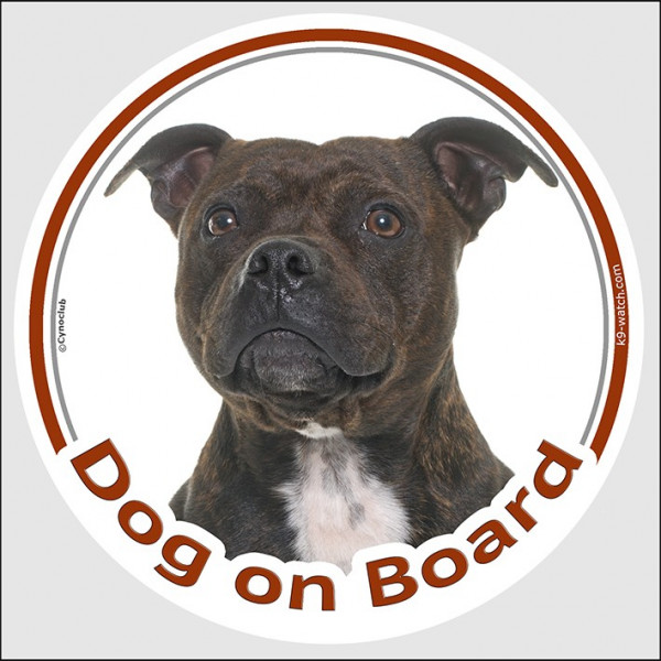 Circle sticker "Dog on board" 15 cm, Brindle Staffie Head, decal adhesive car label Staffordshire Bull Terrier