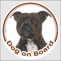 Circle sticker "Dog on board" 15 cm, Brindle Staffie Head