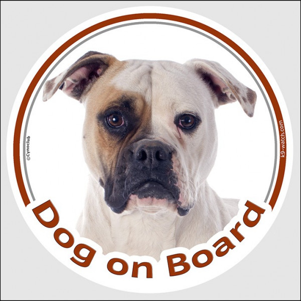 Circle sticker "Dog on board" 15 cm, White and fawn American Bulldog Head, decal adhesive car label red country