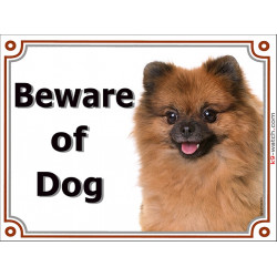 Portal Sign Beware of Dog, Orange Pomeranian head, red deutsche Spitz gate plate, placard panel