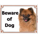 Portal Sign, 2 Sizes Beware of Dog, Orange Pomeranian head