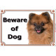 Portal Sign Beware of Dog, Orange Pomeranian head, red deutsche Spitz gate plate, placard panel