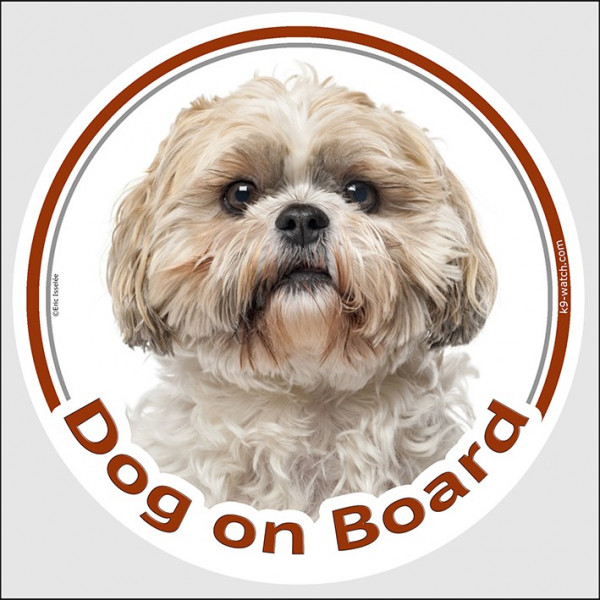 Circle sticker "Dog on board" 15 cm, gold & white Shih Tzu Head, decal adhesive car label shihtsu tsu shitzu