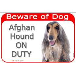 Portal Sign red 24 cm Beware of Dog, blue & cream Afghan Hound on duty