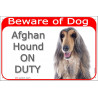 Portal Sign red 24 cm Beware of Dog, blue & cream Afghan Hound on duty