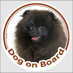 Black Pomeranian Head, circle sticker "Dog on board" deutsche spitz decal adhesive car label pom photo notice