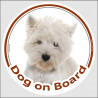 Circle sticker "Dog on board" 15 cm, Westie Head, decal adhesive car label West Highland White Terrier Westy