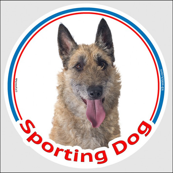 Circle sticker In/Out "Sporting Dog" 15 cm, Belgian Shepherd Laekenois Head, decal adhesive agility label lakenois