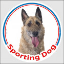 Circle sticker In/Out "Sporting Dog" 15 cm, Belgian Shepherd Laekenois Head