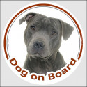 Grey blue Staffie, car circle sticker "Dog on board" 15 cm