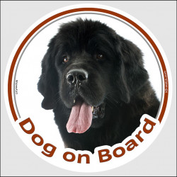 black Newfoundland Head, car circle sticker "Dog on board" decal adhesive label photo notice