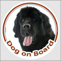Newfoundland, car circle sticker "Dog on board" 15 cm