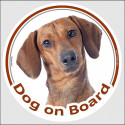 Circle car sticker "Dog on board" 15 cm, red smooth Dachshund