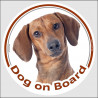 Circle car sticker "Dog on board" 15 cm, red smooth Dachshund decal adhesive label doxie