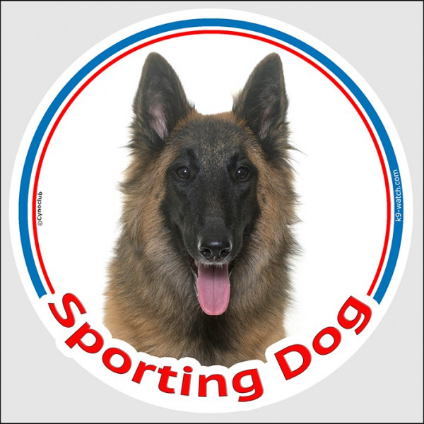 Circle sticker In/Out "Sporting Dog" 15 cm, Belgian Shepherd Tervuren Head, decal adhesive agility tervuren label