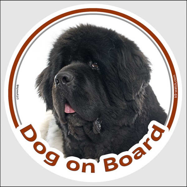 Circle sticker "Dog on board" 15 cm, black and white Newfoundland Head decal adhesive car label