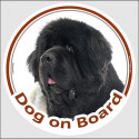 Circle sticker "Dog on board" 15 cm, Black and White Newfoundland Head