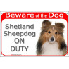 Portal Sign red 24 cm Beware of the Dog, red mahogany Shetland Sheepdog on duty, gate plate Fawn Sheltie placard panel