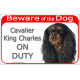 Red Portal Sign" Beware of the Dog, black and tan Cavalier King Charles Spaniel on duty" gate plate placard panel photo notice