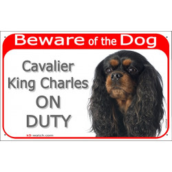 Red Portal Sign "Beware of the Dog, Cavalier King Charles on duty" 24 cm