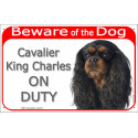Red Portal Sign "Beware of the Dog, Cavalier King Charles on duty" 24 cm