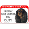 Red Portal Sign" Beware of the Dog, black and tan Cavalier King Charles Spaniel on duty" gate plate placard panel photo notice