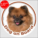 Circle sticker "Dog on board" 15 cm, Orange Pomeranian Head