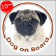 Circle sticker "Dog on board" 15 cm, fawn Pug Head, decal adhesive car label