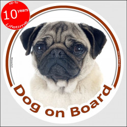 Circle sticker "Dog on board" 15 cm, fawn Pug Head